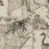 Expedition Fabric