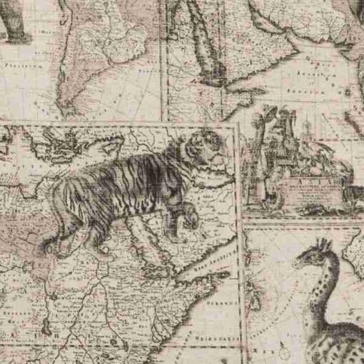 Expedition fabric