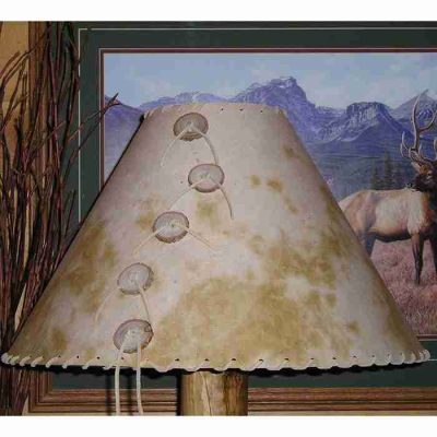 Buckskin pinto lamp shade 12