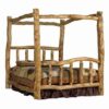 Colorado Aspen Canopy Bed