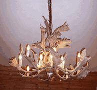 Fallow deer antler chandeliers