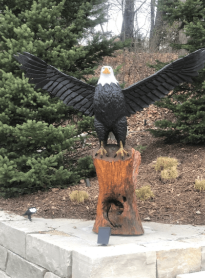 Flying eagle chainsaw carving stump sculpture 45