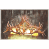 Mt. Cameron Pool Table Elk Chandelier, Medium - 4 Lights