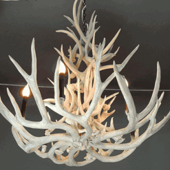 Hidalgo mule deer antler chandelier 16 antler 8 light 63