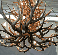 Hidalgo mule deer antler chandelier 52 antler 24 light 72