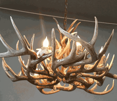 Hidalgo whitetail deer antler chandelier 24 antler 12 light 62