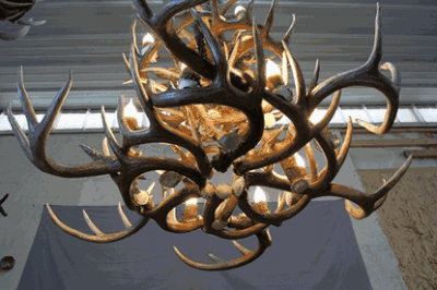 Hidalgo whitetail deer antler chandelier 34 antler 16 light 66