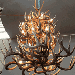 Hidalgo whitetail deer antler chandelier 52 antler 24 light 71
