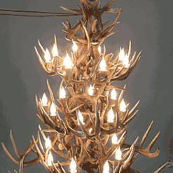 Hidalgo whitetail deer antler chandelier 52 antler 24 light 74