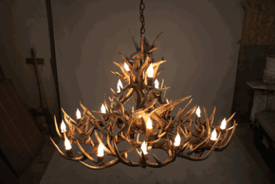 Hidalgo whitetail deer antler chandelier 97 antler 28 light 60