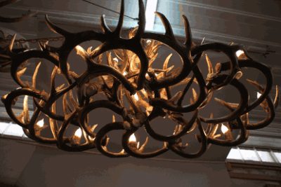 Hidalgo whitetail deer antler chandelier 97 antler 28 light 63