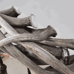 Peak axis deer seven falls antler chandelier 7 lights 35