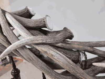 peak axis deer seven falls antler chandelier 7 lights 35