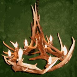 Peak Eagles In Round Elk Antler Chandelier - 8 Light