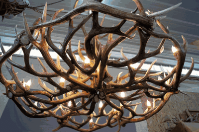 Peak elk antler chandelier 30 antlers 18 light 98