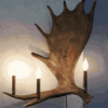 Peak Moose Antler Sconce - 3 Light