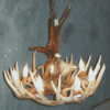 Peak Moose Eagle Over Whitetail Deer Antler Chandelier - 6 Light