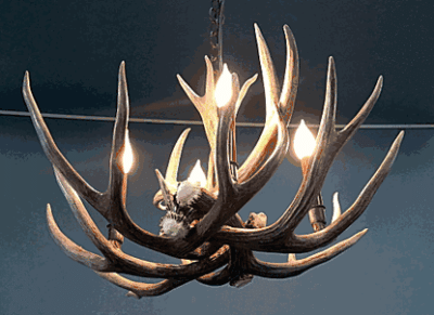 Peak pine cone mule deer antler chandelier 4 light 81