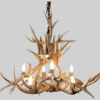 Ponderosa Mule Deer Antler Chandelier, Medium - 8 Lights