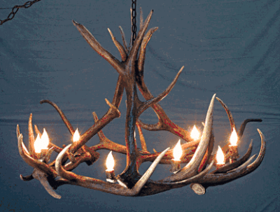 Peak round mount eolus elk antler chandelier 8 light 44