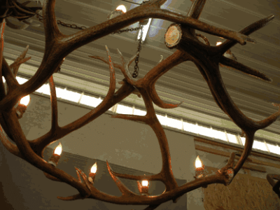 Peak round mount eolus elk antler chandelier 8 light 47