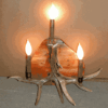 Peak Large Whitetail Deer Antler Sconce