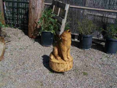 Sitting wolf pup chainsaw carving stump sculpture 48