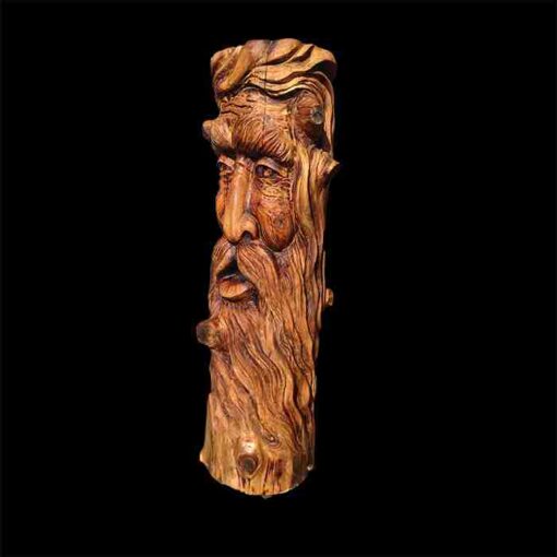 Spirit of the trees chainsaw carving stump sculpture - image 3
