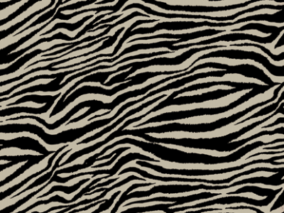 Zebra zen fabric 9