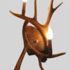 Peak Mule Deer Antler Sconce