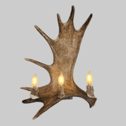 Peak Moose Antler Sconce - 3 Light