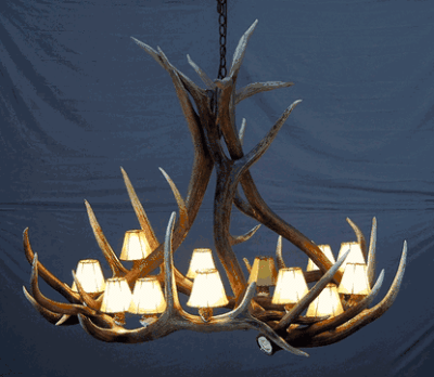 Hidalgo elk antler medium chandelier 6 antler 9 light 26