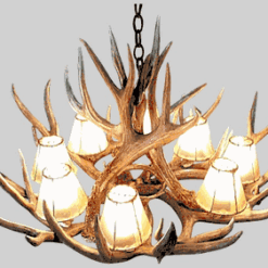 Hidalgo mule deer antler chandelier 12 antler 8 light 57