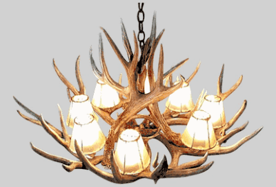 Hidalgo mule deer antler chandelier 12 antler 8 light 57