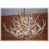 Hidalgo Mule Deer Antler Chandelier - 28 Antler- 12 Light