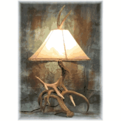 Trophy Whitetail Deer Antler Table Lamp