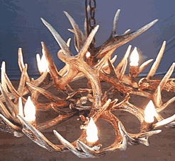 Hidalgo whitetail deer antler chandelier 16 antler 8 light 102