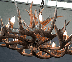 Hidalgo whitetail deer antler chandelier 16 antler 8 light 105