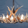 Little Bear Peak Oval Whitetail Deer Antler Chandelier – 8 Lights