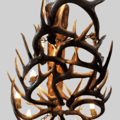 Hidalgo whitetail deer antler chandelier 22 antler 8 light 81