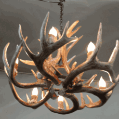 Hidalgo whitetail deer antler chandelier 9 antler 6 light 81