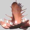 UNCOMPAHGRE PEAK MOOSE CHANDELIER, LARGE - 12 LIGHTS