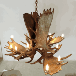 Peak great room moose antler chandelier 16 light 79