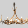 LONGS PEAK OVAL ELK ANTLER CHANDELIER - 8 LIGHTS