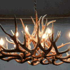Peak oval bristlecone mule deer antler chandelier 18 light 63