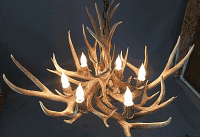 Peak pine cone mule deer antler chandelier 6 light 79