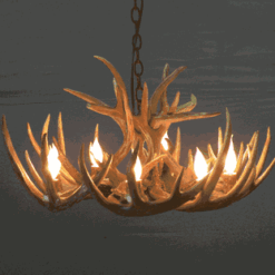 LITTLE BEAR PEAK ROUND WHITETAIL DEER ANTLER CHANDELIER - 8 LIGHTS