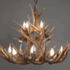 Bristlecone Rustic Mule Deer Antler Chandelier, Small – 12 Lights