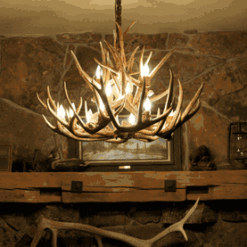 Peak small bristlecone mule deer antler chandelier 12 light 131
