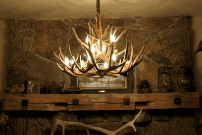 Peak small bristlecone mule deer antler chandelier 12 light 131